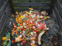 Champion Schools Seed to Plate Curriculum Resources Champion Schools Seed to Plate Curriculum Resources