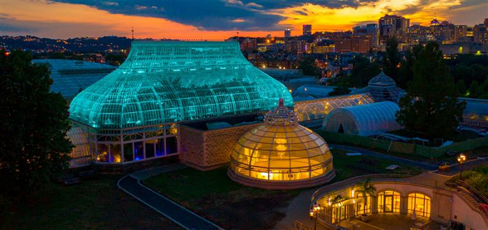 Succulent Night at Phipps