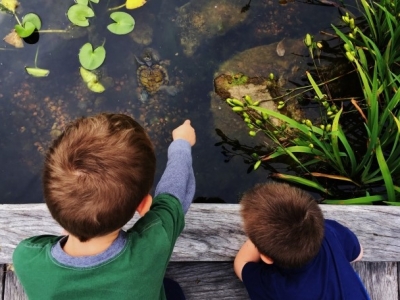 For Homeschoolers For Homeschoolers