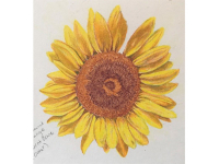 NEW! Online Classes NEW! Online Classes