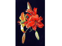 NEW! Online Classes NEW! Online Classes