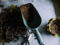 Therapeutic Horticulture Kit