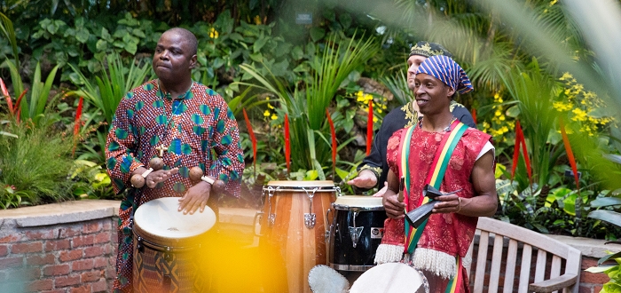 Tropical Forest Congo Festival Tropical Forest Congo Festival