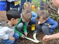 Field Trips and School Outreach Field Trips and School Outreach