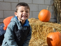 Little Sprouts: Fall Programs Little Sprouts: Fall Programs