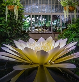 Fall Flower Finale for SUPER. NATURAL. Fall Flower Finale for SUPER. NATURAL.