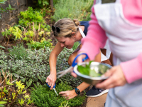 Down The Rabbit Hole with Phipps Adult Education