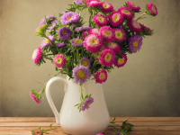 NEW! Online Classes NEW! Online Classes