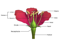 NEW! Online Classes NEW! Online Classes