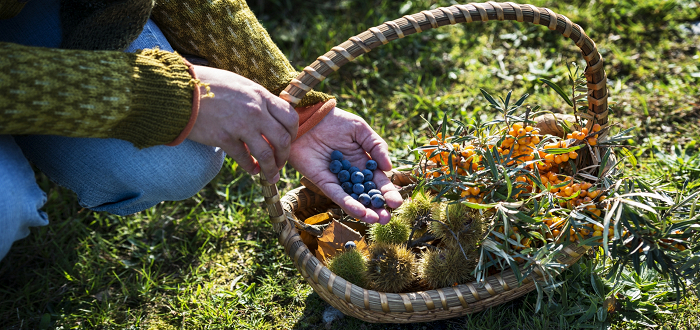 Summer Short Course: Eat Your Backyard — Foraging and Cultivating Unusual Edibles