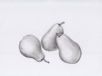 NEW! Online Classes NEW! Online Classes