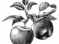 NEW! Online Classes NEW! Online Classes