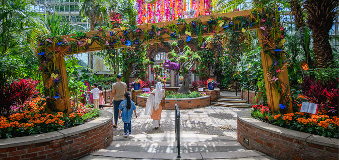 Free Admission Day at Phipps
