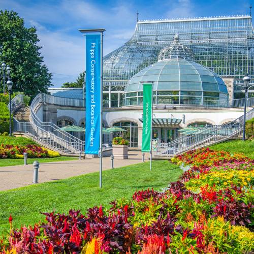 Free Admission Day at Phipps