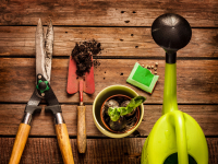 NEW! Online Classes NEW! Online Classes