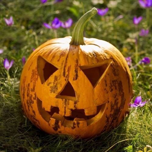 Halloween Happenings