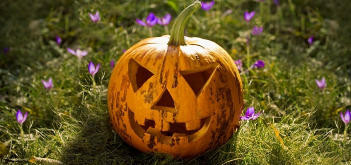 Virtual Halloween Happenings Virtual Halloween Happenings