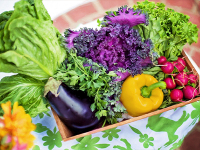 Champion Schools Seed to Plate Curriculum Resources Champion Schools Seed to Plate Curriculum Resources