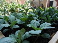 Let’s Move Pittsburgh Healthy Lifestyle Tips, Recipes and Resources for Your Family Let’s Move Pittsburgh Healthy Lifestyle Tips, Recipes and Resources for Your Family