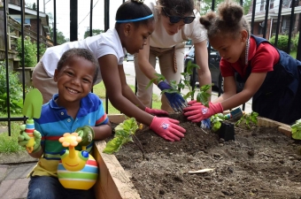 Diversity, Equity, Inclusion and Accessibility at Phipps