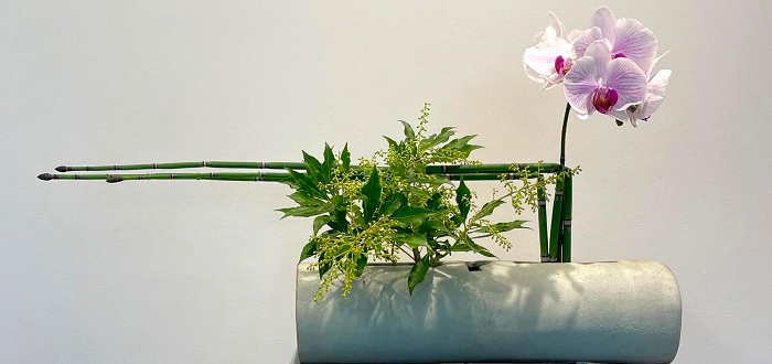 Ikebana Showcase: The Art of Japanese Flower Arrangement