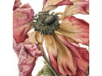 NEW! Online Classes NEW! Online Classes