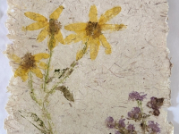Museums for All Summer Education Courses