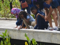 Field Trips and School Outreach Field Trips and School Outreach
