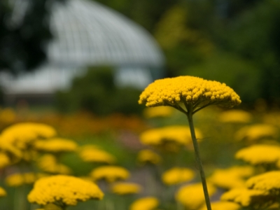 Sustainable Landcare Accreditation Sustainable Landcare Accreditation