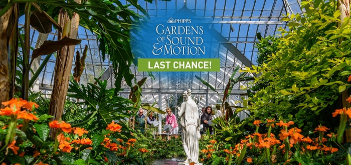 Last Chance: Gardens of Sound and Motion Last Chance: Gardens of Sound and Motion