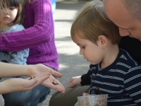 Little Sprouts: Fun with Let’s Move Pittsburgh Little Sprouts: Fun with Let’s Move Pittsburgh