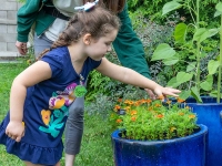 Little Sprouts: Virtual Summer Camps Little Sprouts: Virtual Summer Camps
