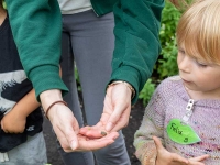 Little Sprouts: Summer Camps Little Sprouts: Summer Camps