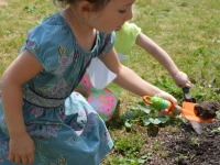 Little Sprouts: Virtual Summer Camps