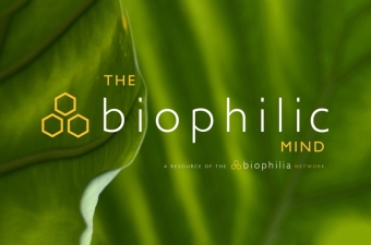 Biophilia Network