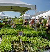 May Market May Market