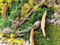 Gardening and Botanical Crafts Gardening and Botanical Crafts