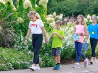 Nature Investigators: Summer Camps Nature Investigators: Summer Camps