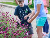 Nature Investigators: Summer Camps Nature Investigators: Summer Camps