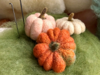 Gorgeous Gourds