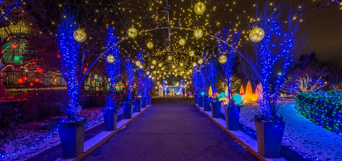 Festive Nights of Winter Lights Festive Nights of Winter Lights