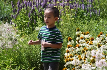 Regenerative Culture at Phipps