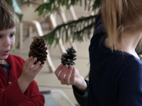 Little Sprouts: Winter Programs Little Sprouts: Winter Programs