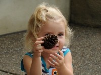Field Trips and School Outreach Field Trips and School Outreach