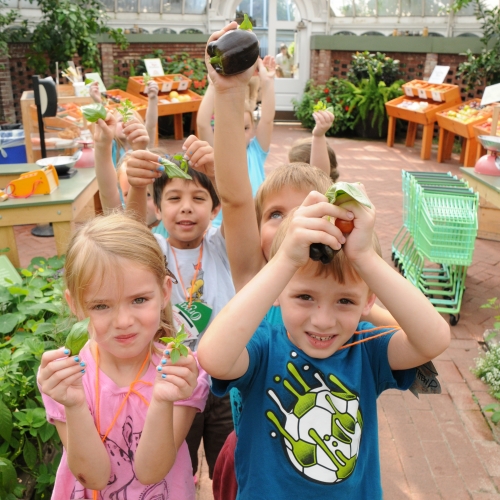 Play Farmers’ Market