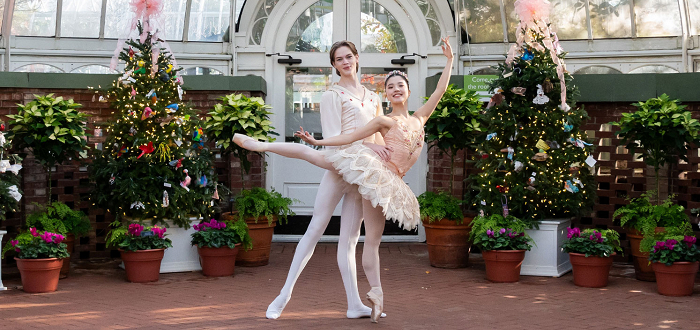 Poinsettias and Pointe Shoes Poinsettias and Pointe Shoes