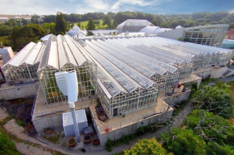 At Phipps