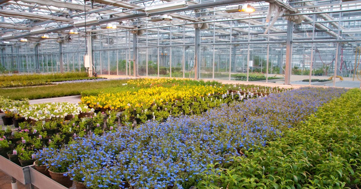 Production Greenhouse Phipps Conservatory and Botanical Gardens