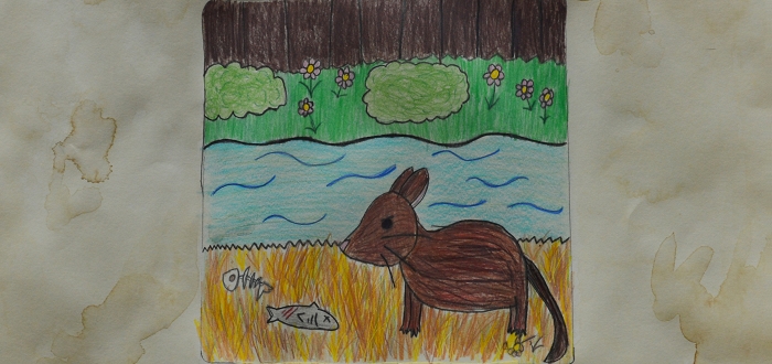Invasives Most Wanted: A Youth Art Exhibition Invasives Most Wanted: A Youth Art Exhibition