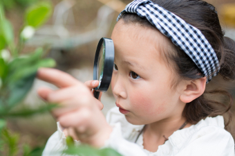 Regenerative Culture at Phipps